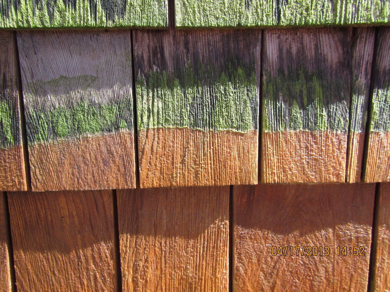 cleaning cedar siding