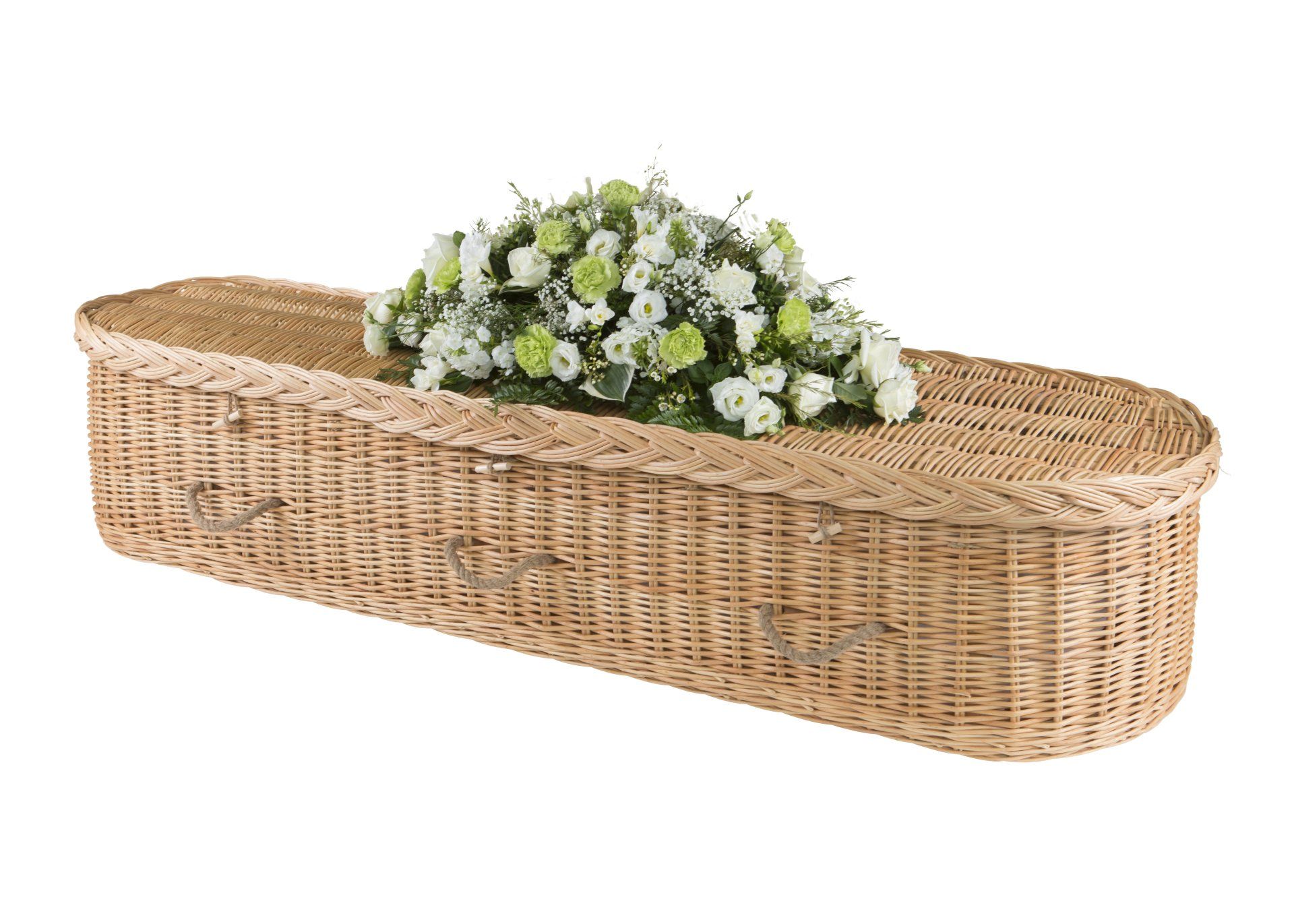 Environmental Willow Curved Coffin