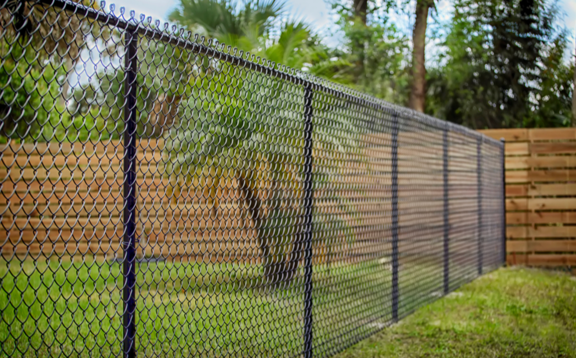 chain wire fencing