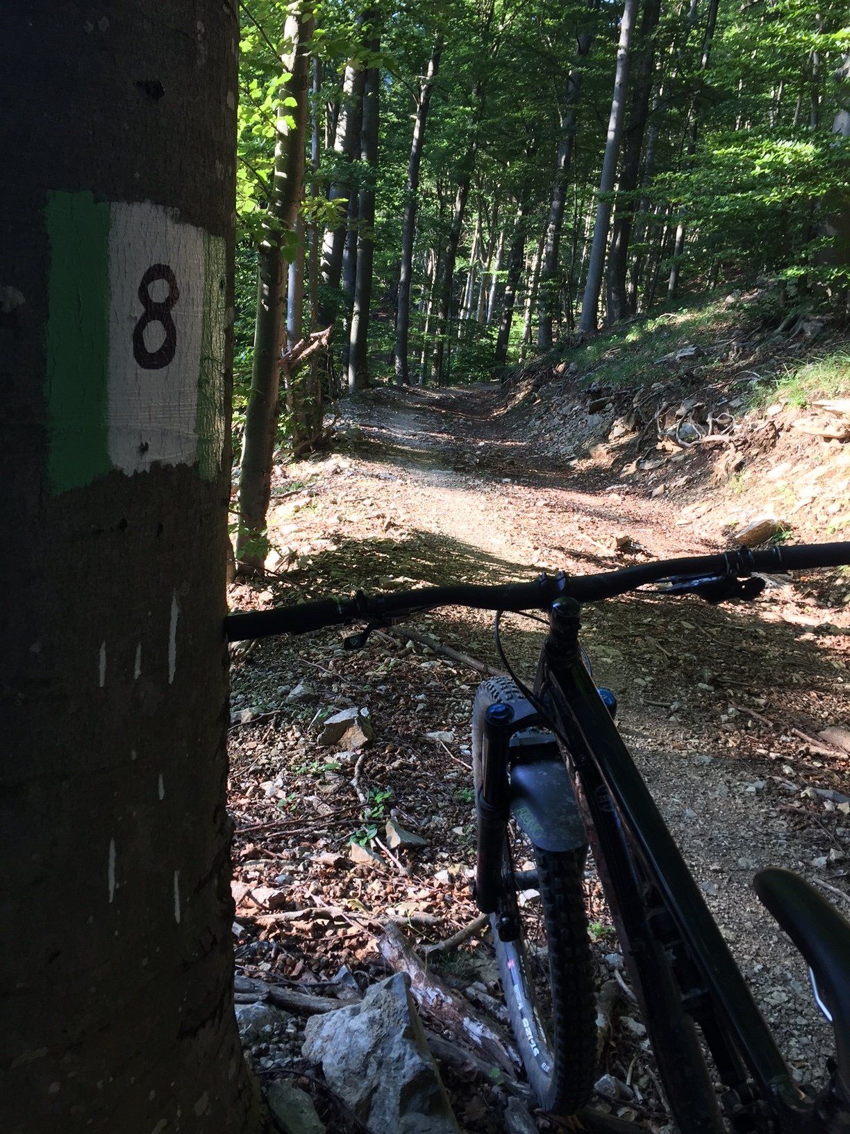 sentiero mtb delle 4 cascine