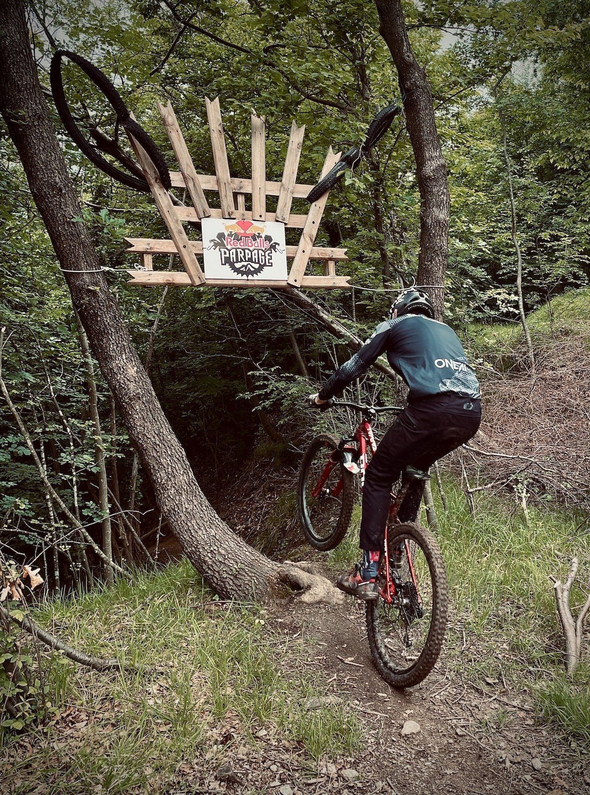 escursioni guidate mtb entroterra ligure