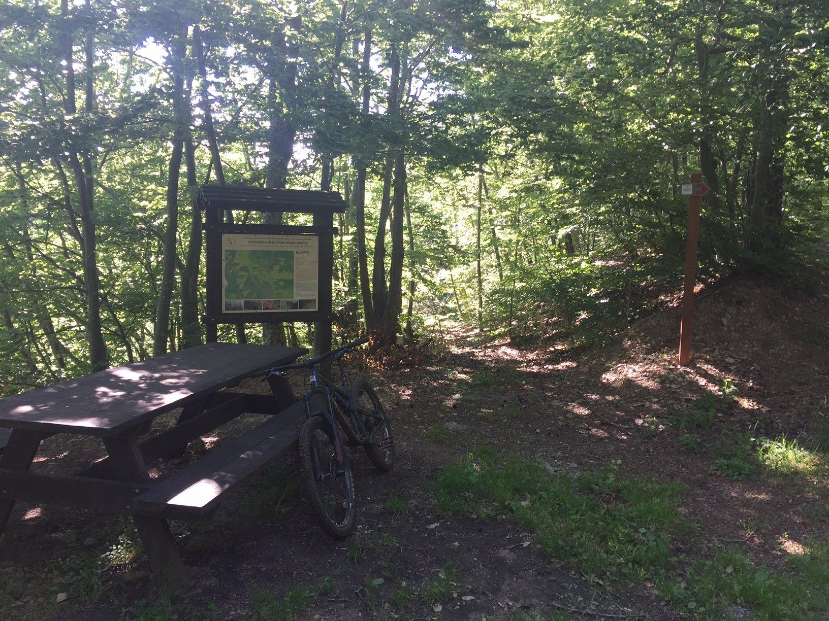 mtb guided excursions castelvecchio di rocca barbena