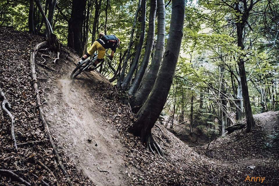 mtb enduro downhill bardineto