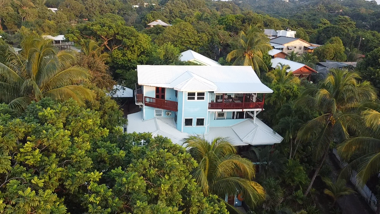 Two-story blue house in lush green trees, white roof, surrounded by other homes, a tropical setting.