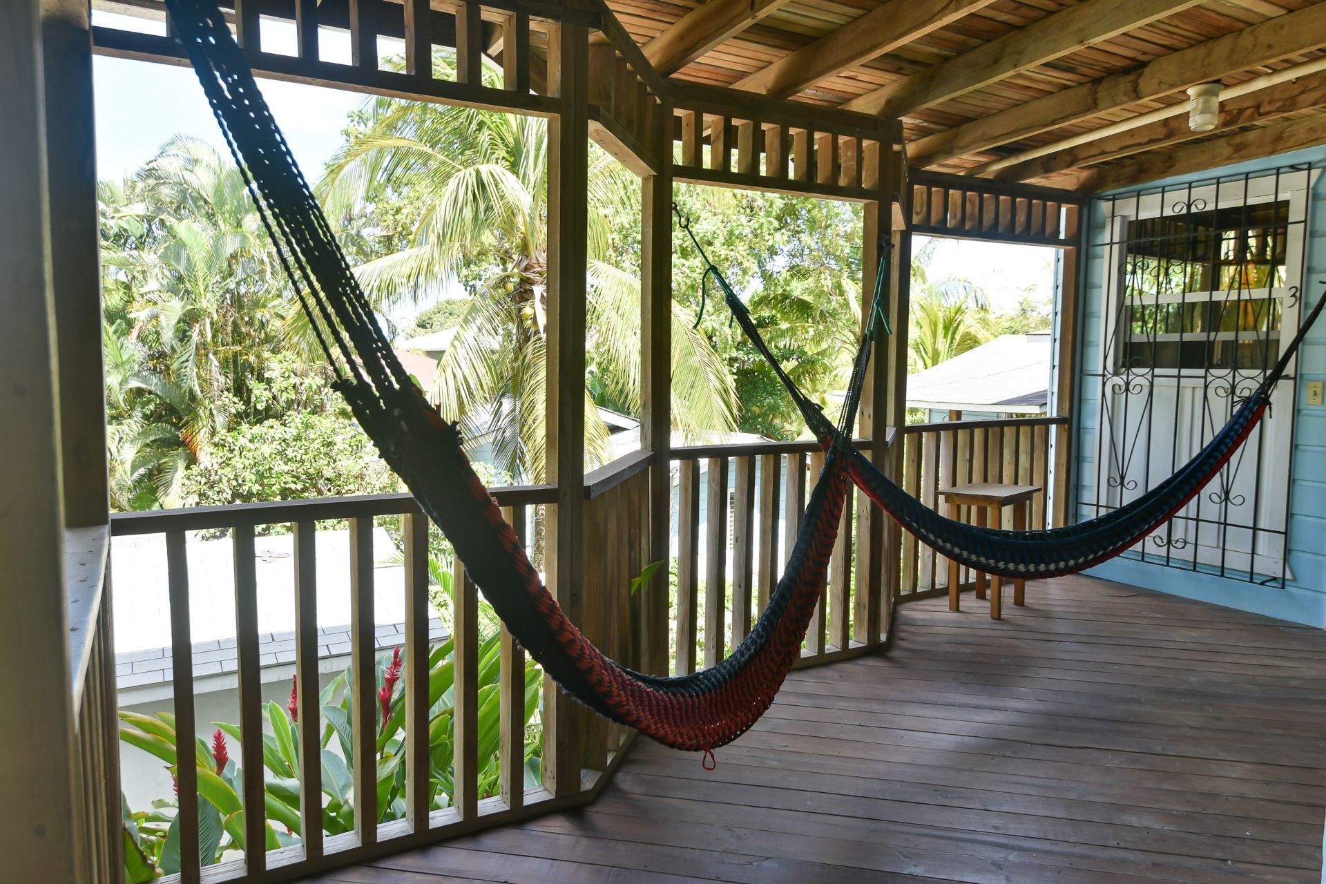Veranda with hammocks, overlooking lush greenery. Wooden railing, blue wall, tropical setting.