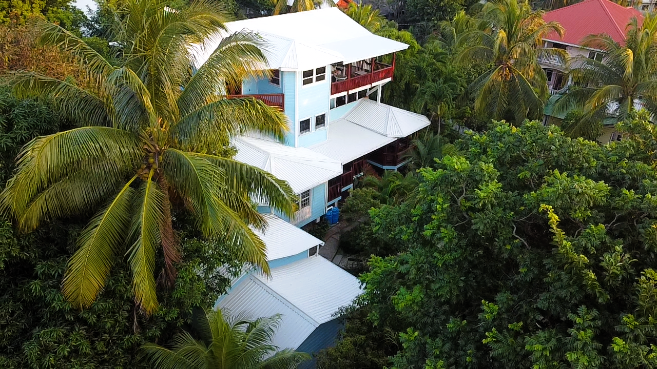 Blue house with white roof surrounded by lush green trees.