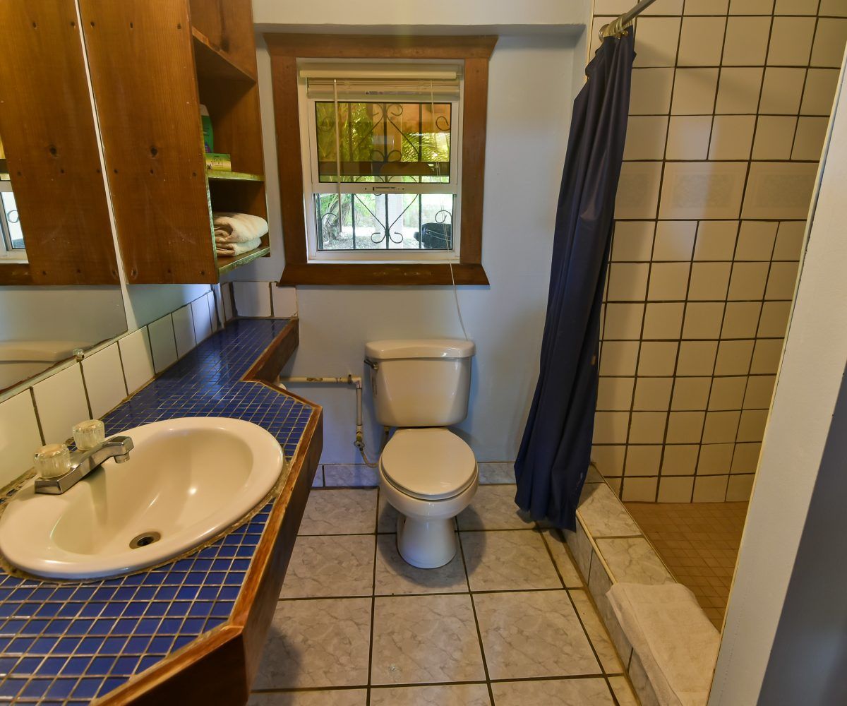 Bathroom with a toilet, sink, shower with blue curtain, and a window.