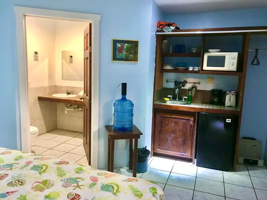 Small studio room with kitchenette, bathroom visible; blue walls, mini-fridge, water jug, bed with patterned comforter.