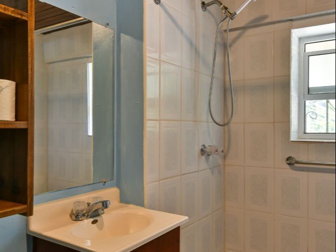 Bathroom with a sink, mirror, shower with grab bar, and window with white-tiled walls.