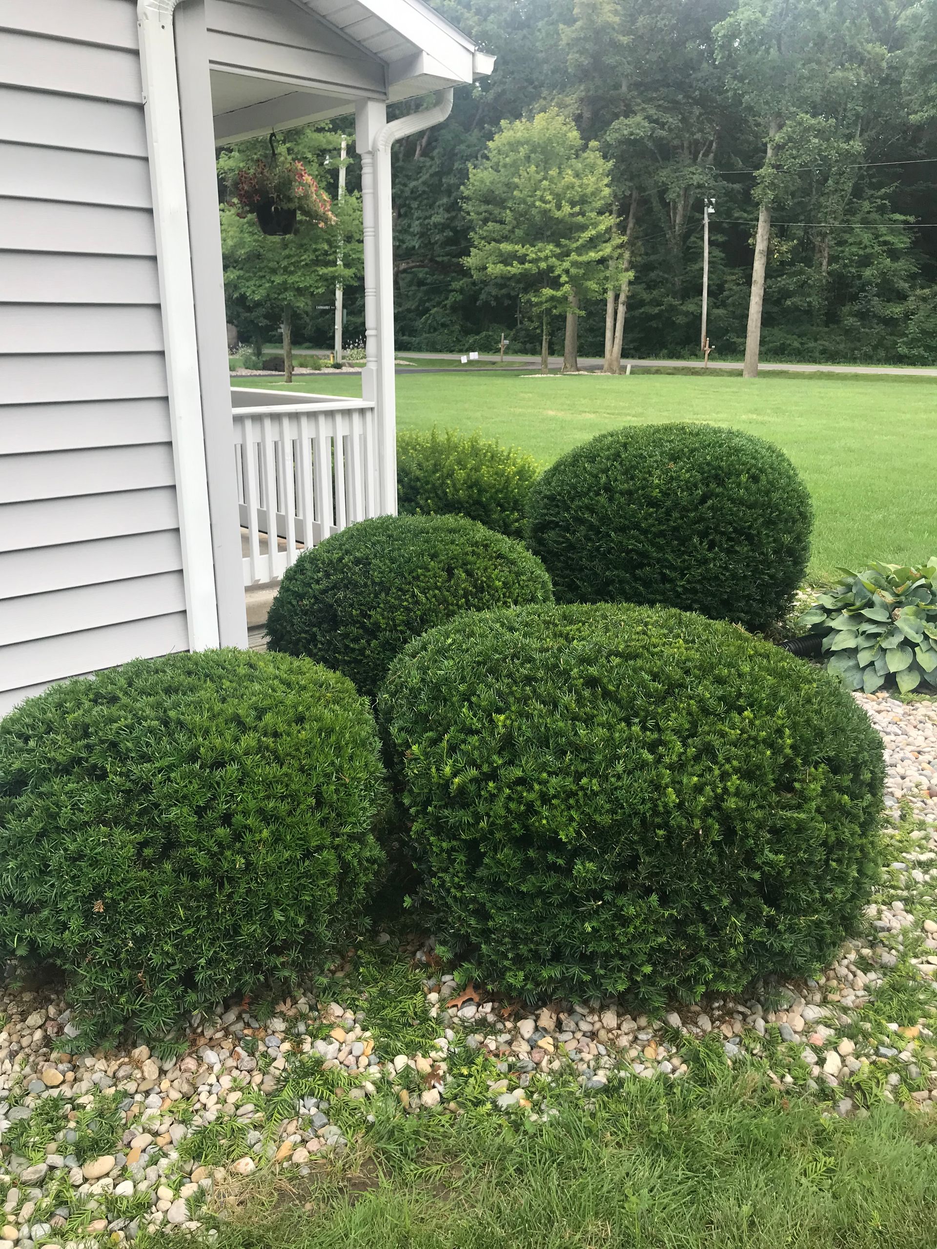 Trimmed Bushes — Toledo, OH — Stuckeys Lawn & Landscaping LLC