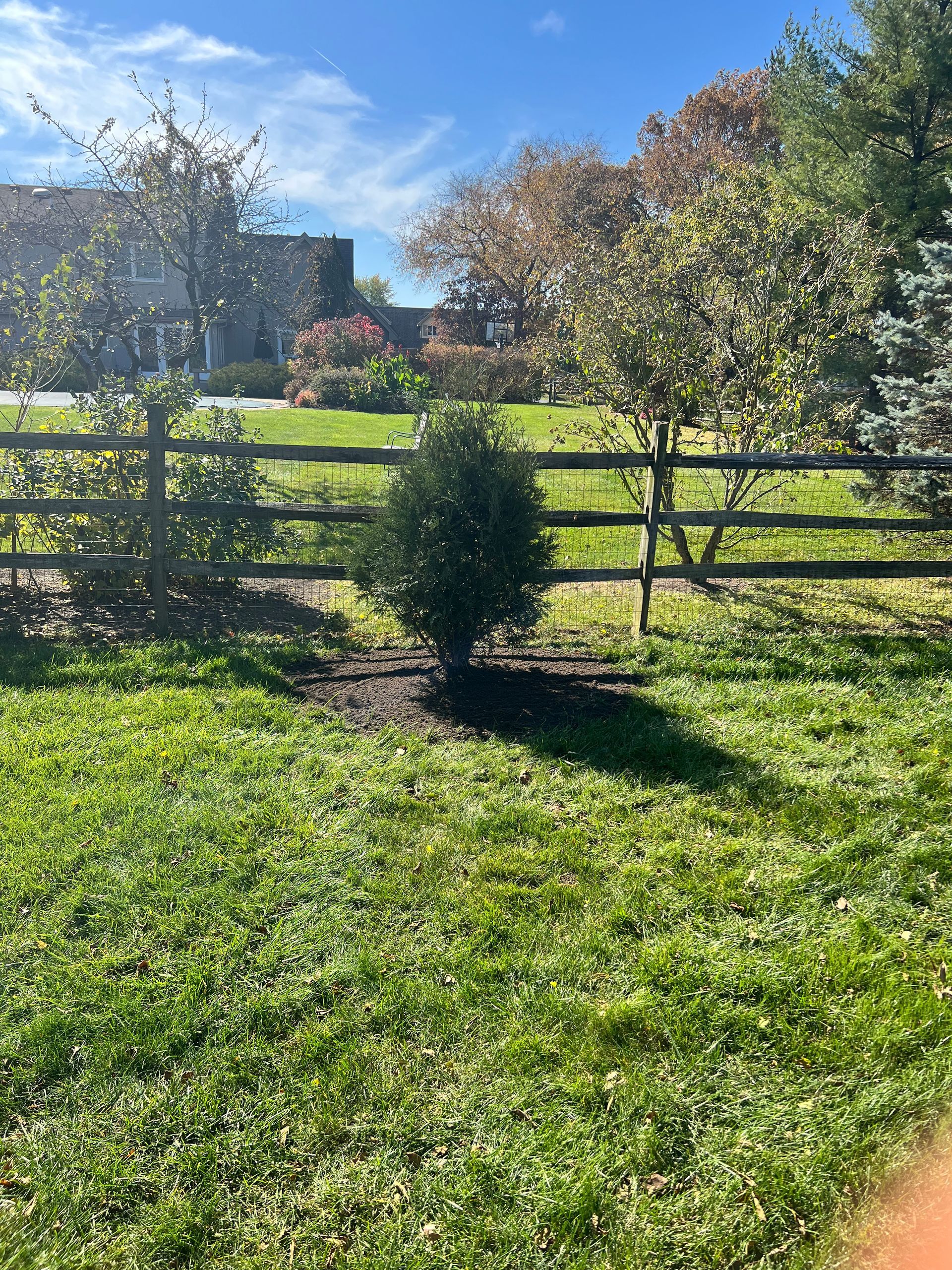 Clean Backyard — Toledo, OH — Stuckeys Lawn & Landscaping LLC