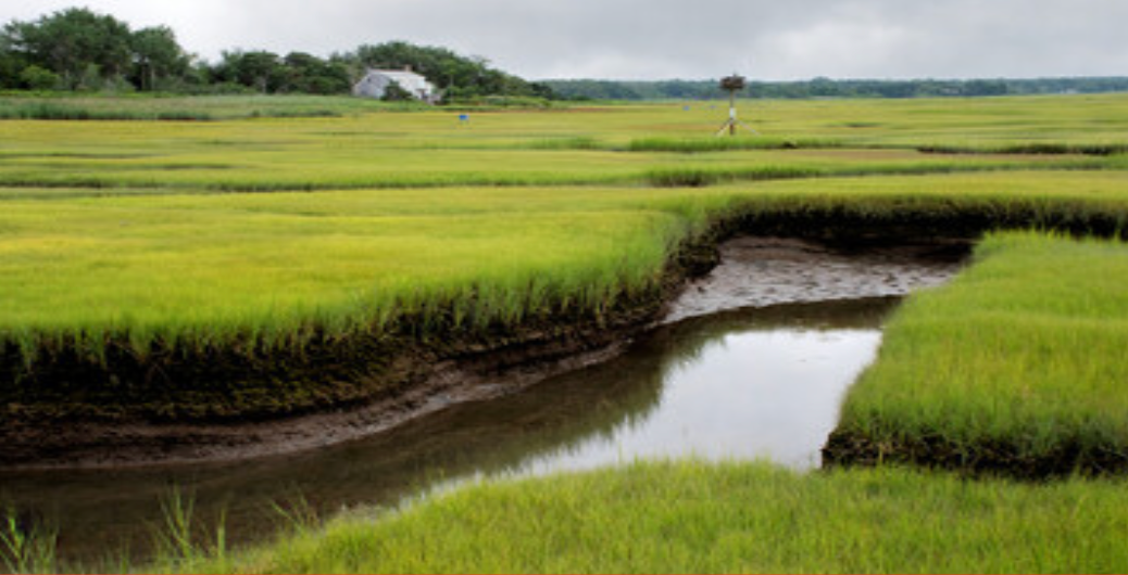 A small stream running through a grassy field with a house in the background.