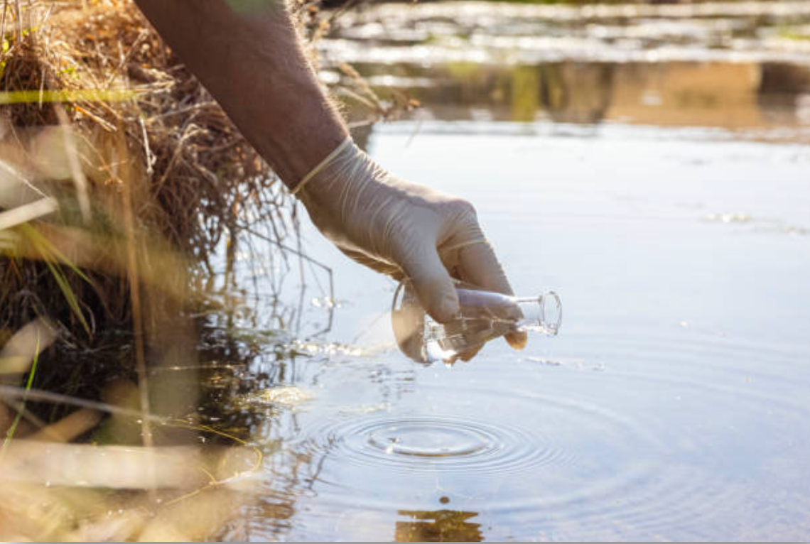 A person is taking a sample of water from a pond.