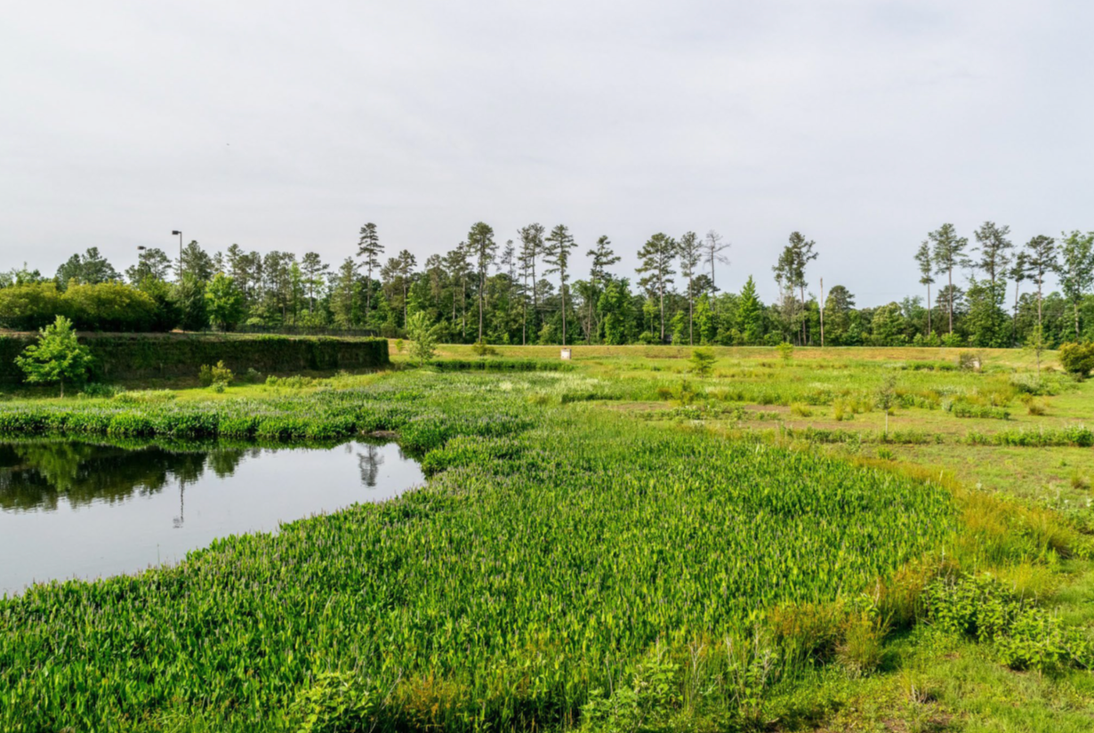 There is a pond in the middle of a field with trees in the background.