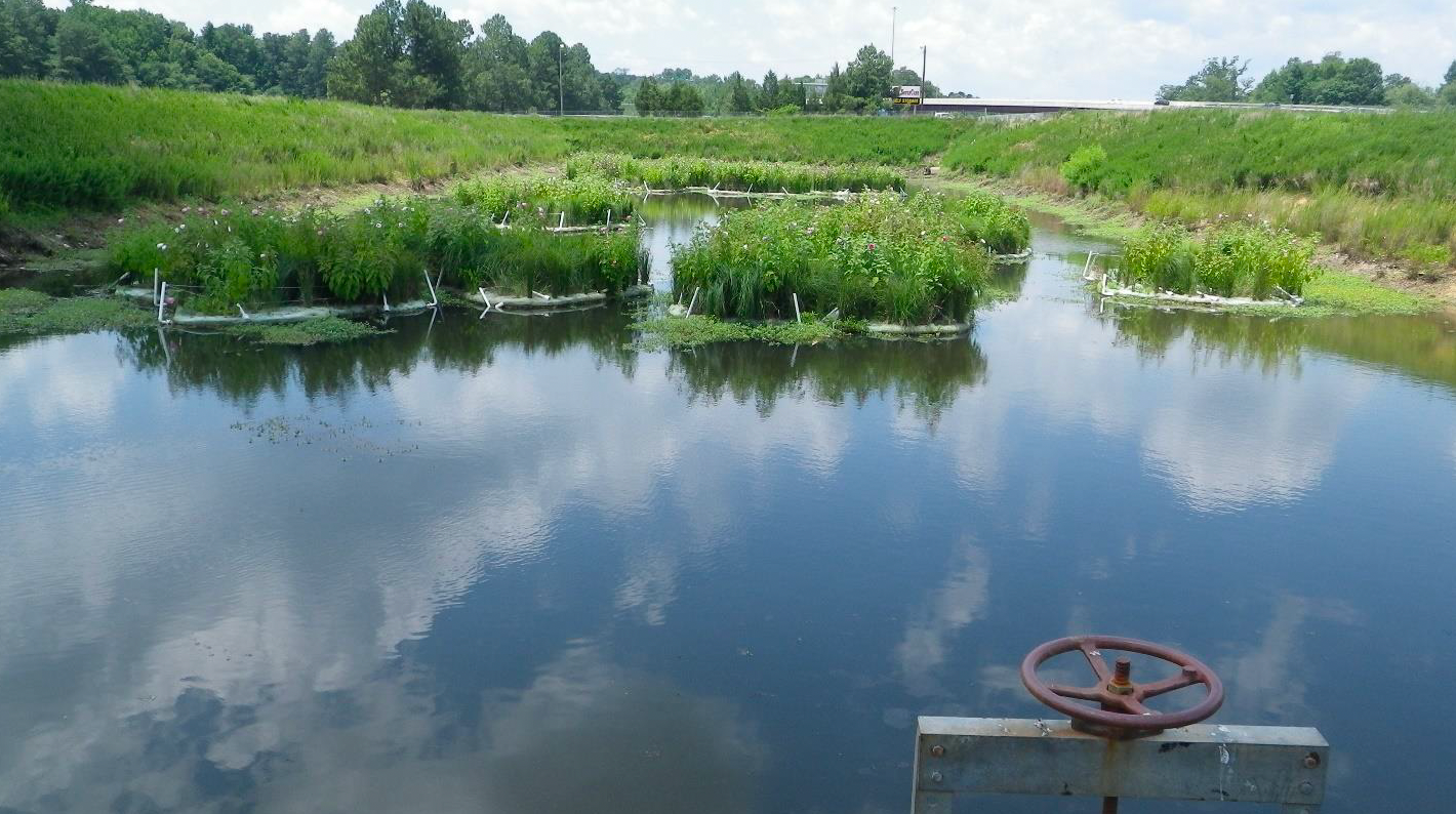 A large body of water with a red valve in the middle of it