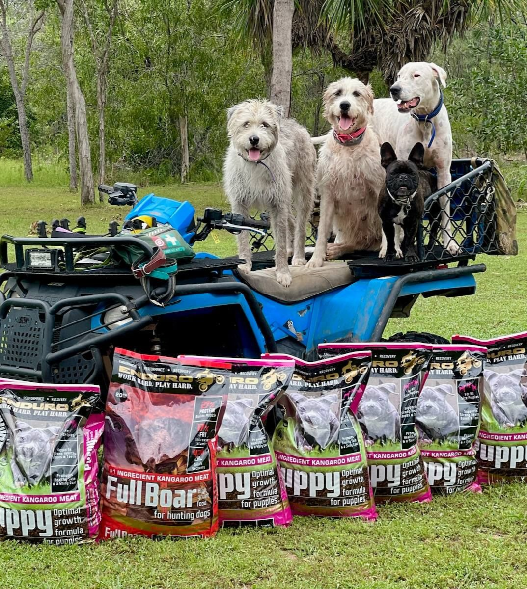 Four dogs sitting on a blue ATV with bags of pet food lined up in front, outdoors on grass.