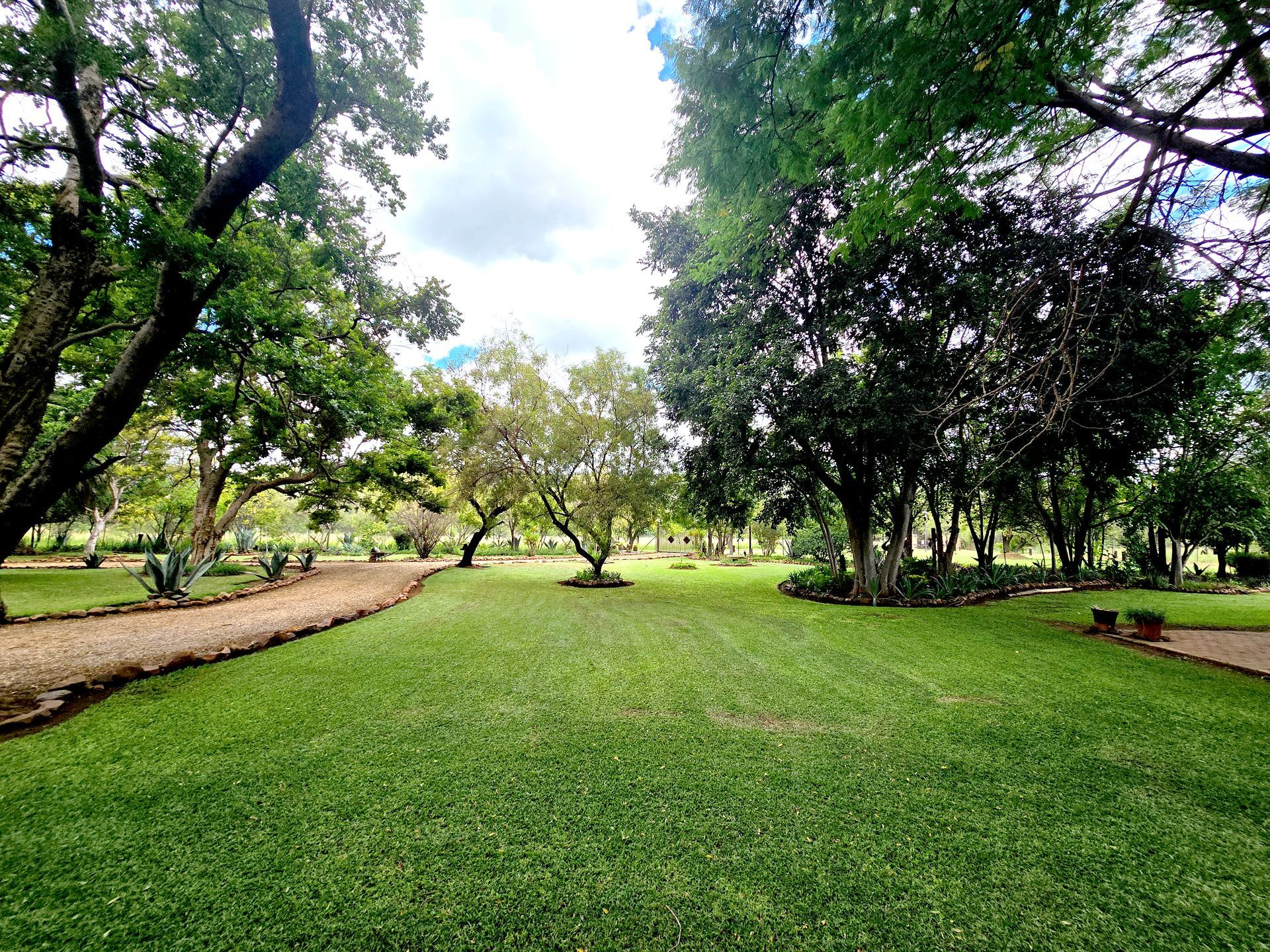 Welcoming front garden at El-Tsuri Guest Resort in Hartbeespoort, featuring manicured lawns, flowering shrubs, and tall trees along a paved driveway, creating a serene and inviting entrance for arriving guests