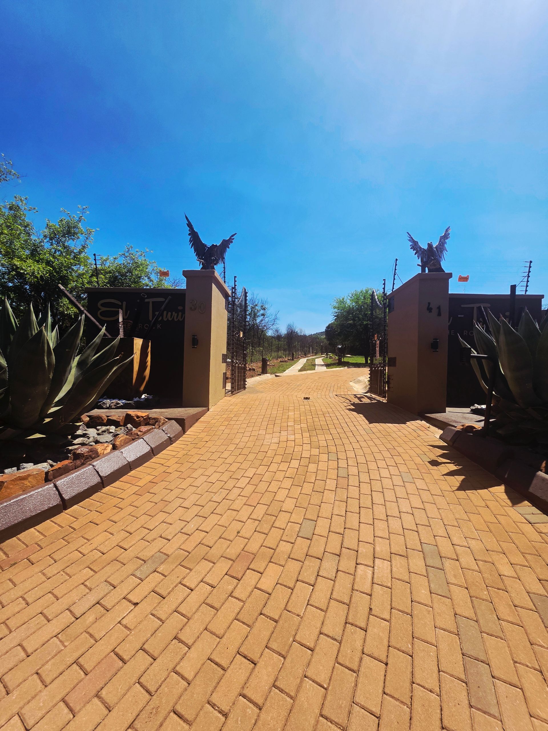 Scenic driveway at El-Tsuri Guest Resort in Hartbeespoort with lush greenery and mountain views.