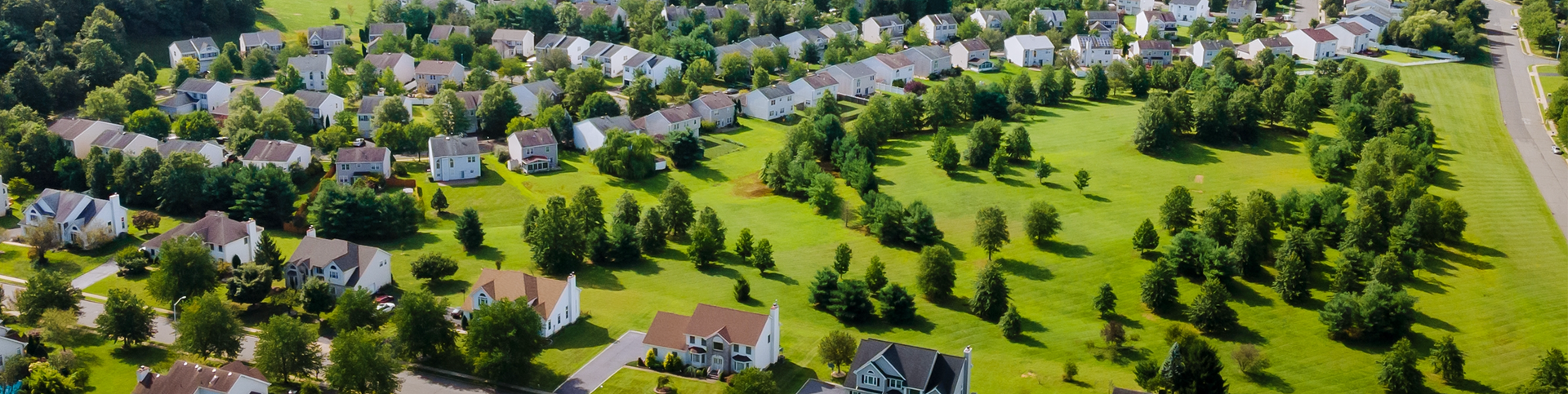 Aerial view of a green space with trees, houses, and a road. Bright sunlight.