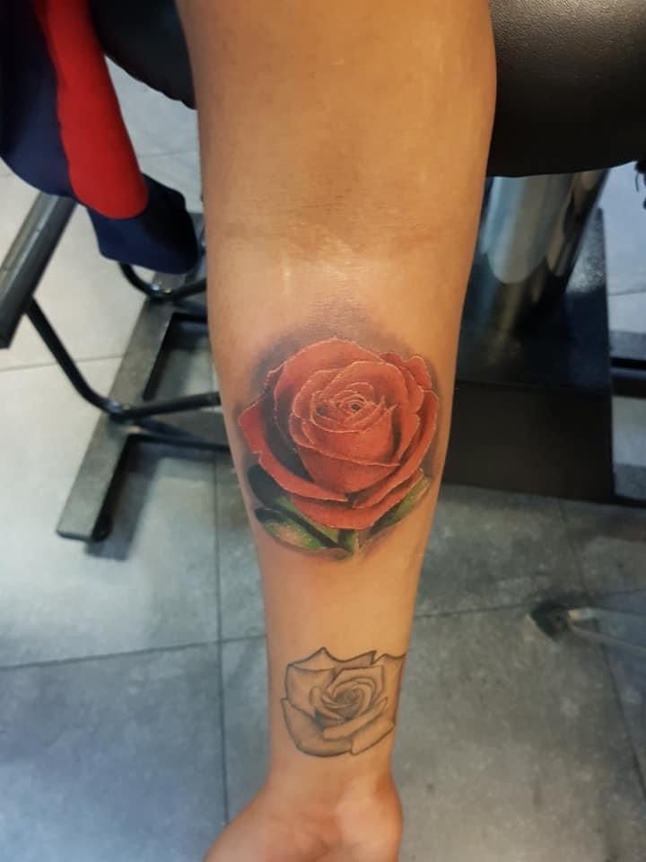 Tatoeage van een felrode roos op een arm, met daaronder een vervaagde omtrek van een roos.