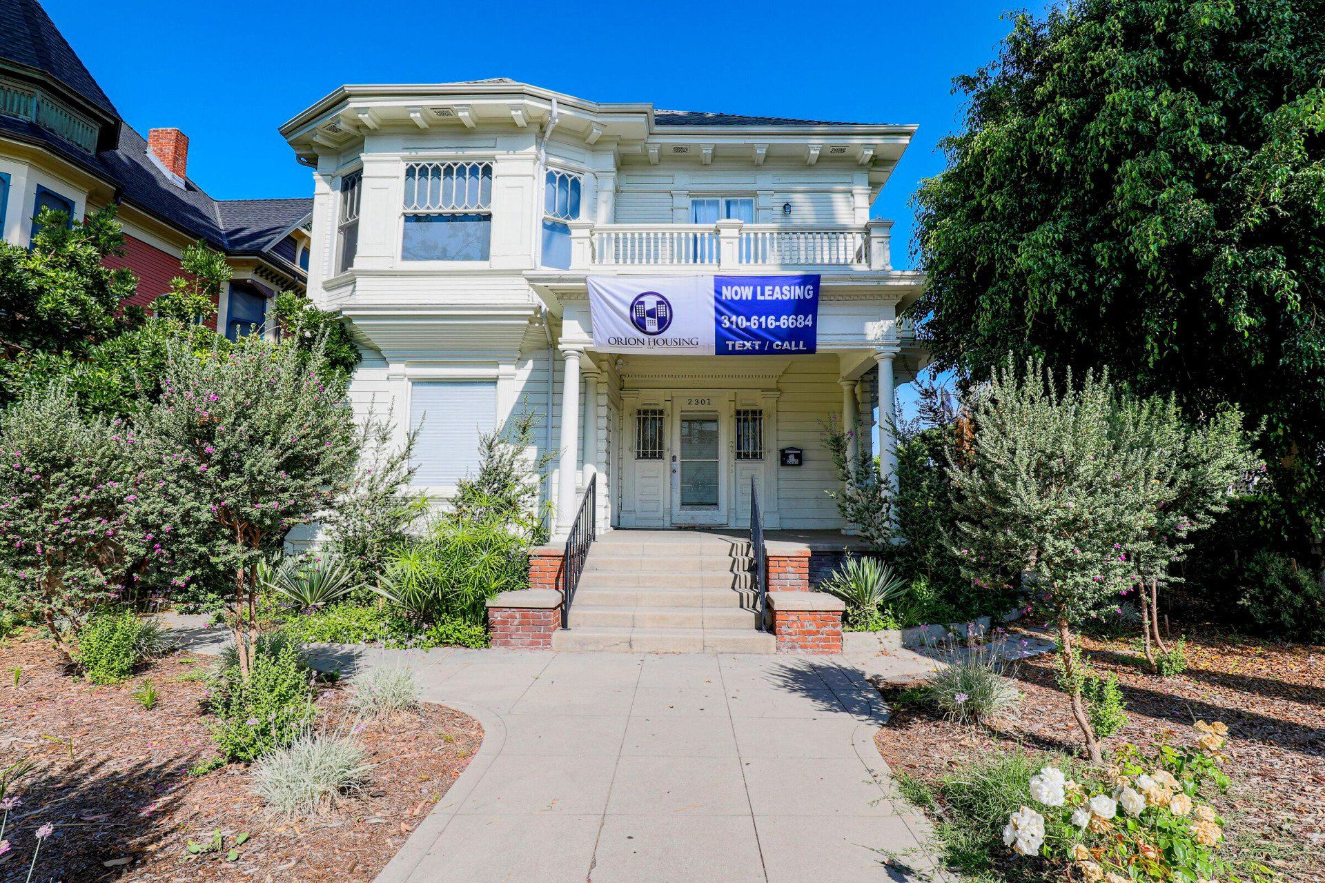 this image shows a beautiful building in society with blue background