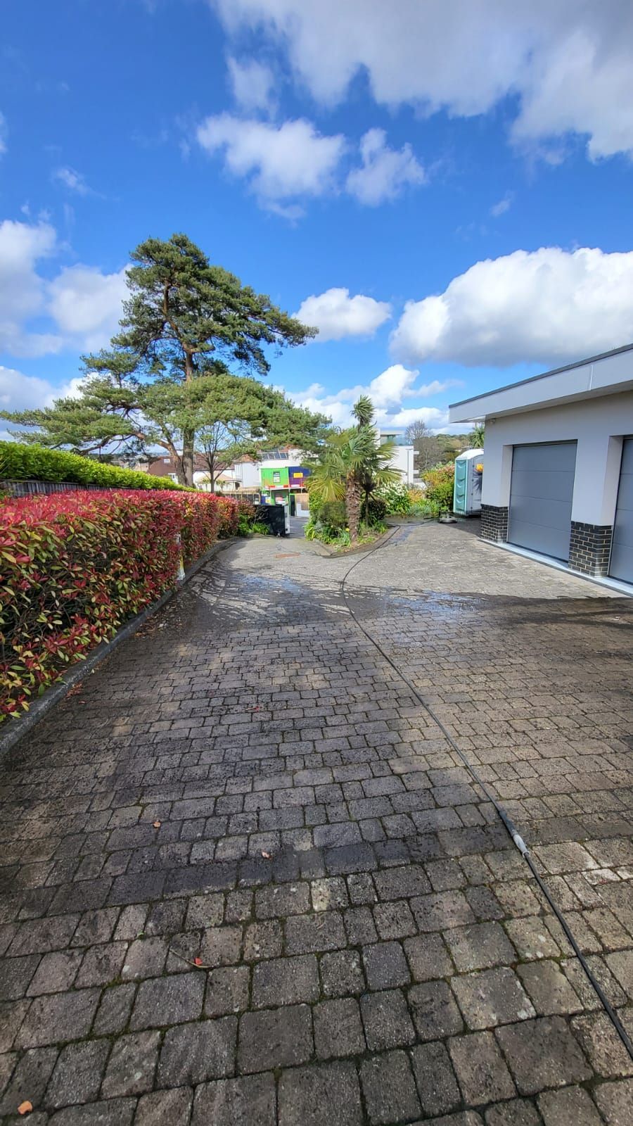 A brick walkway leading to a house with a tree in the background.