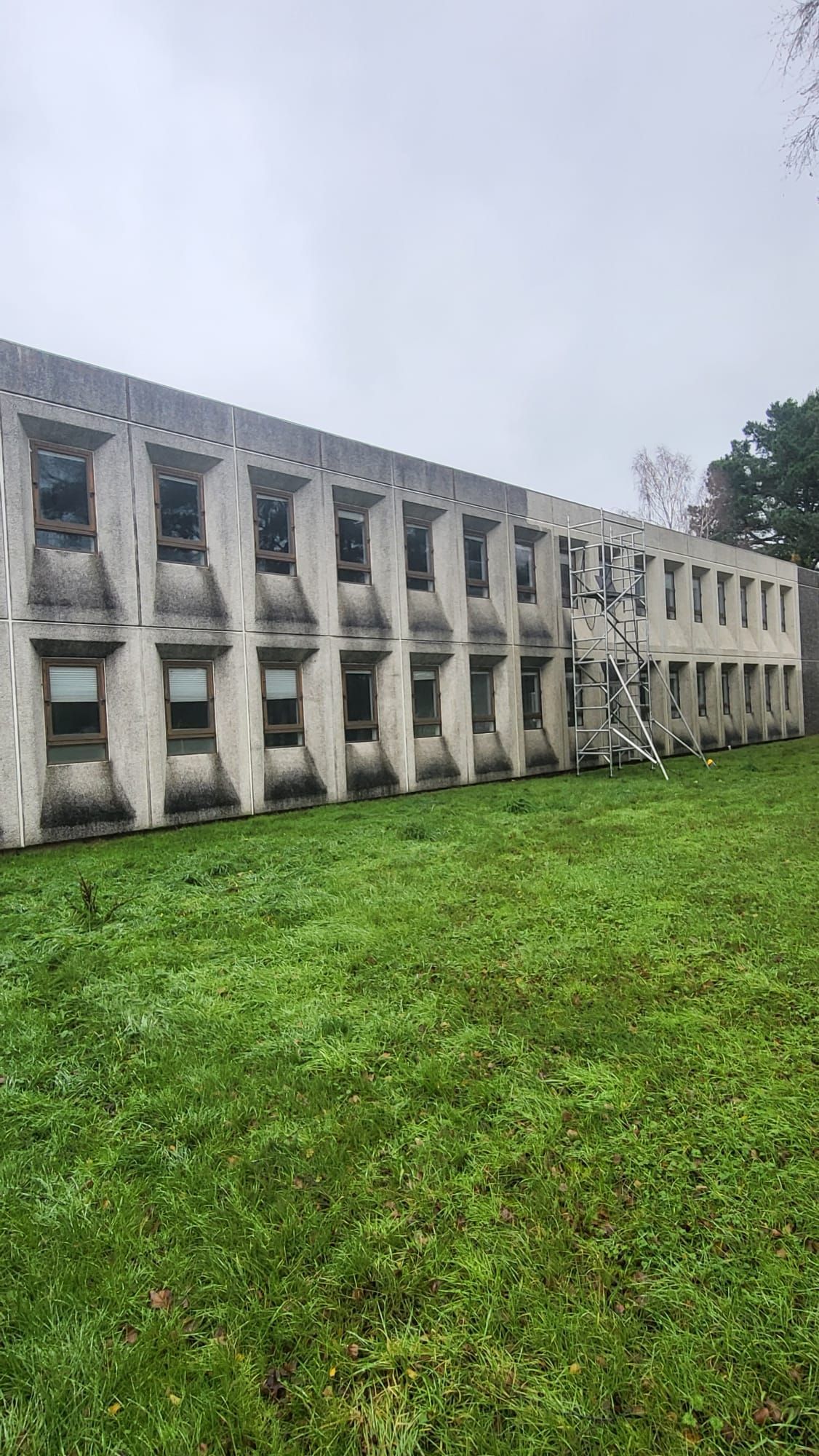 A large building with a lot of dirty windows is sitting on top of a lush green field.