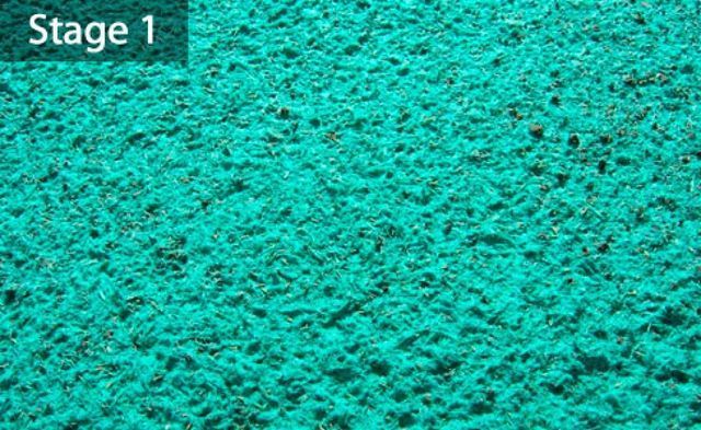 Stage 1 of Spray Seeding — Canberra, ACT — ACT Spray Seeding