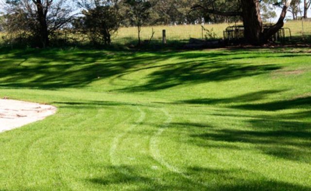 Green Turf — Canberra, ACT — ACT Spray Seeding