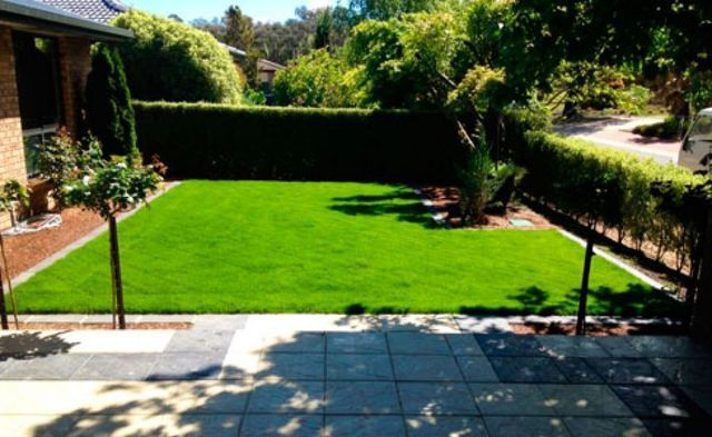 Health Lawn — Canberra, ACT — ACT Spray Seeding