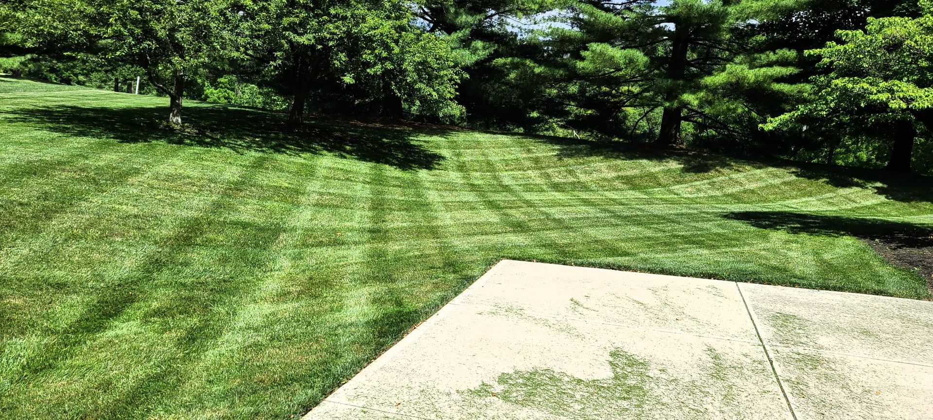 Lawn with alternating cut stripes, next to a concrete patio. Trees in the background, sunny day.