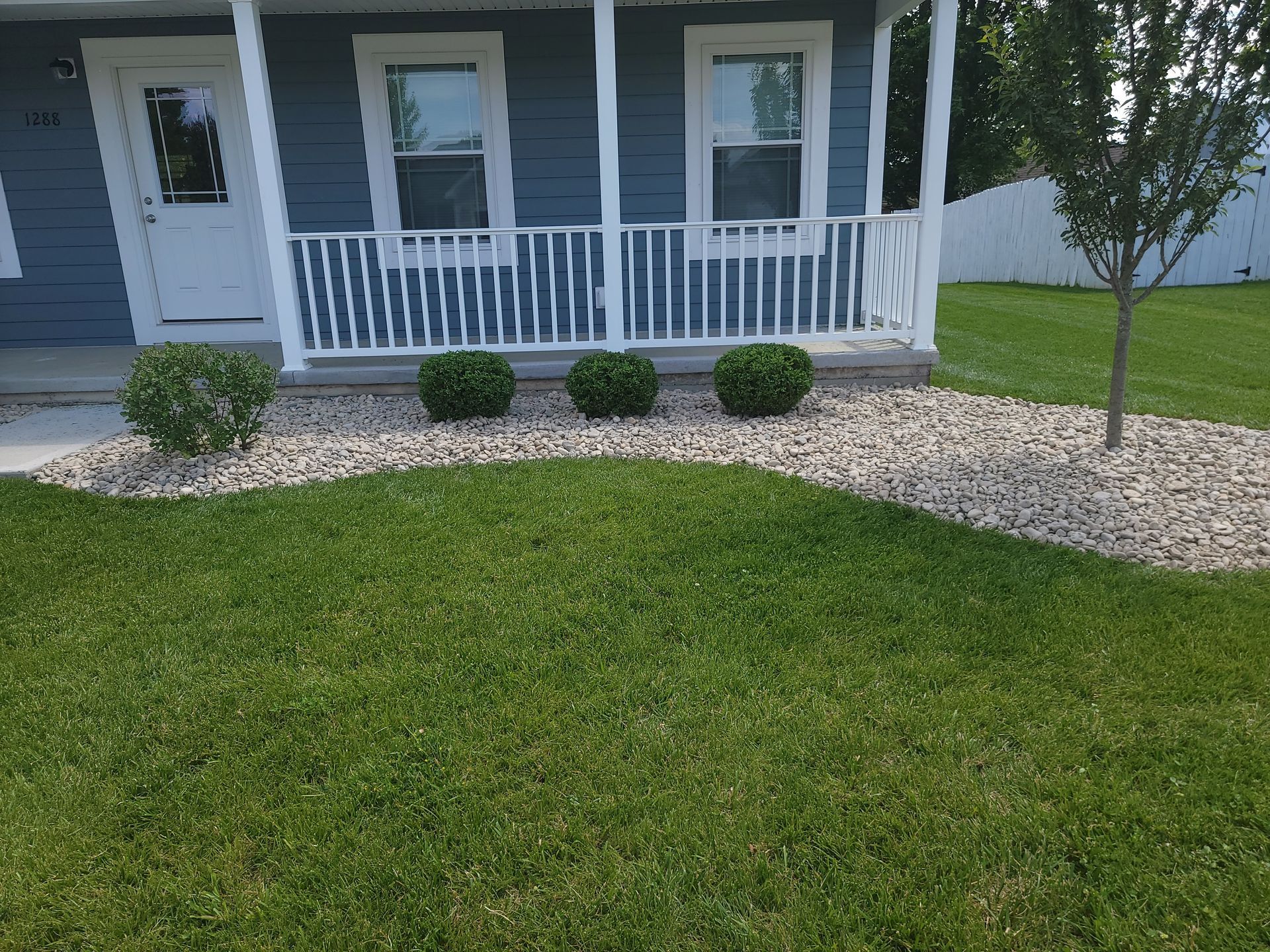 Blue house with white porch, three green shrubs on a bed of tan rocks, green lawn.