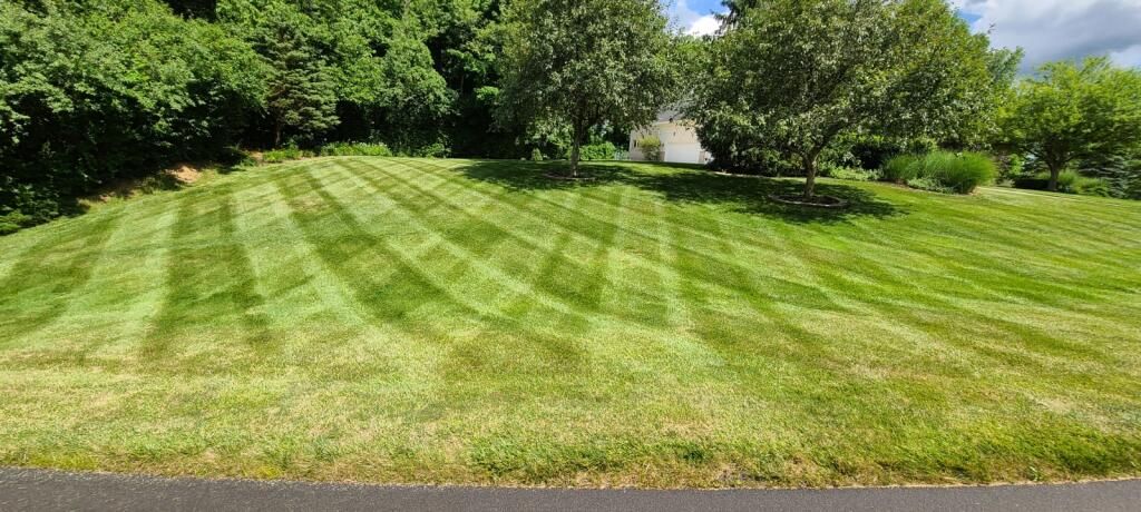 A lush green lawn with trees in the background and a driveway in the foreground.