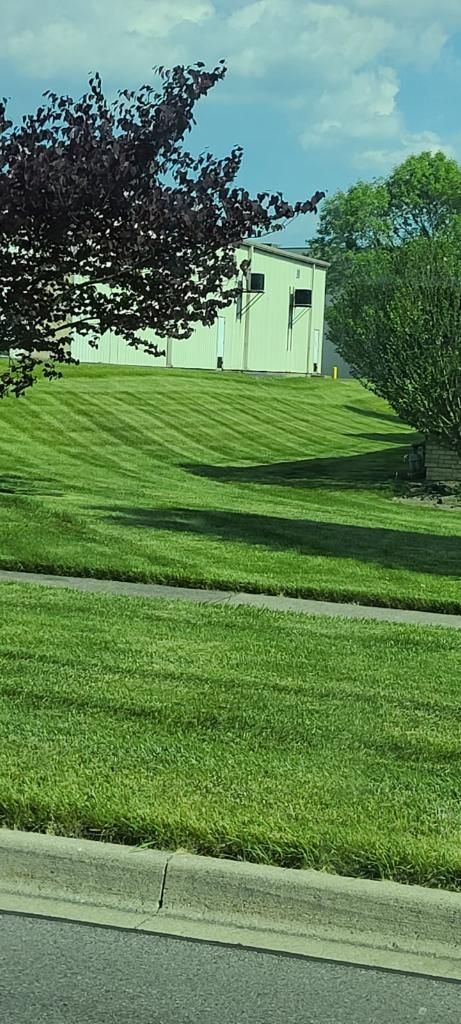 A lush green lawn with a white building in the background.