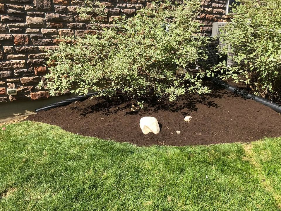 A rock is sitting in the middle of a lawn next to a bush.