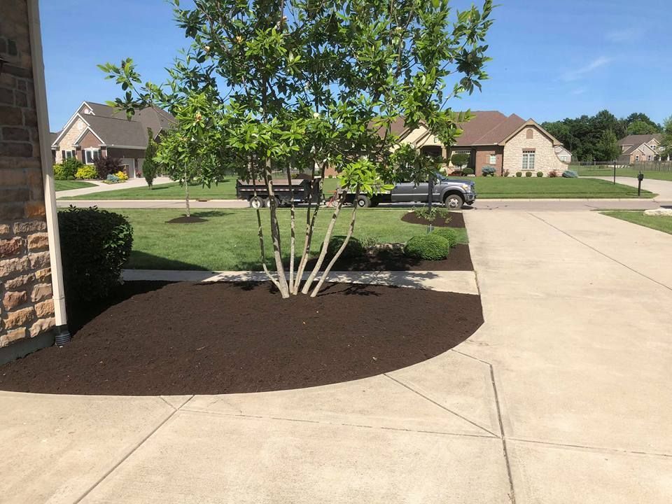 A tree in the middle of a driveway next to a house.