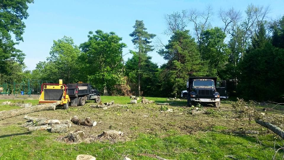 A truck is parked in a field with trees in the background.