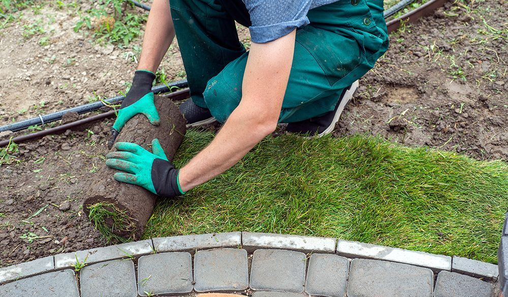 Residential Sod & Grass installation