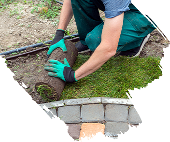 Sod & Grass installation