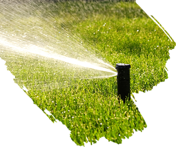 Sprinkler Repair and Installation