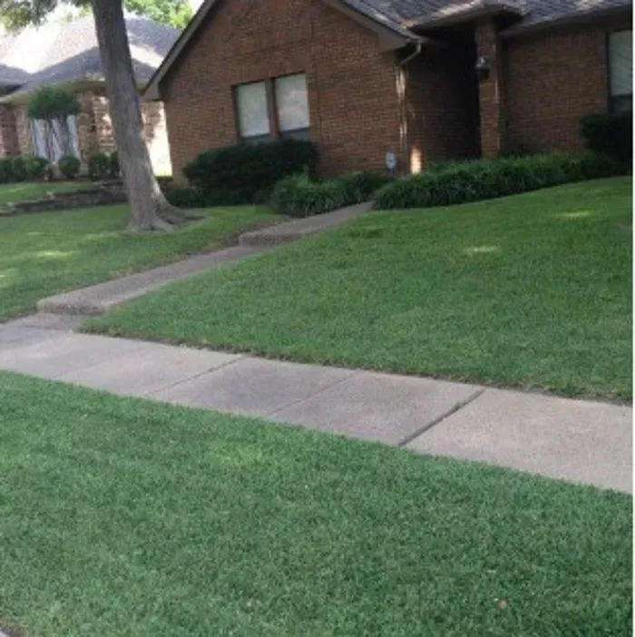 Texas Pride Landscape & Irrigation Gallery Image