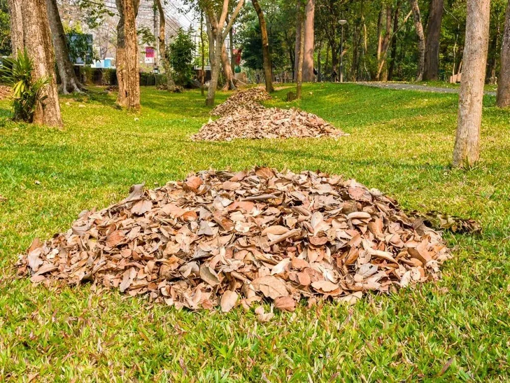 Texas Pride Landscape & Irrigation Gallery Image