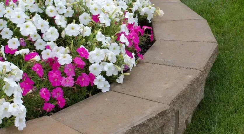 Texas Pride Landscape & Irrigation Gallery Image