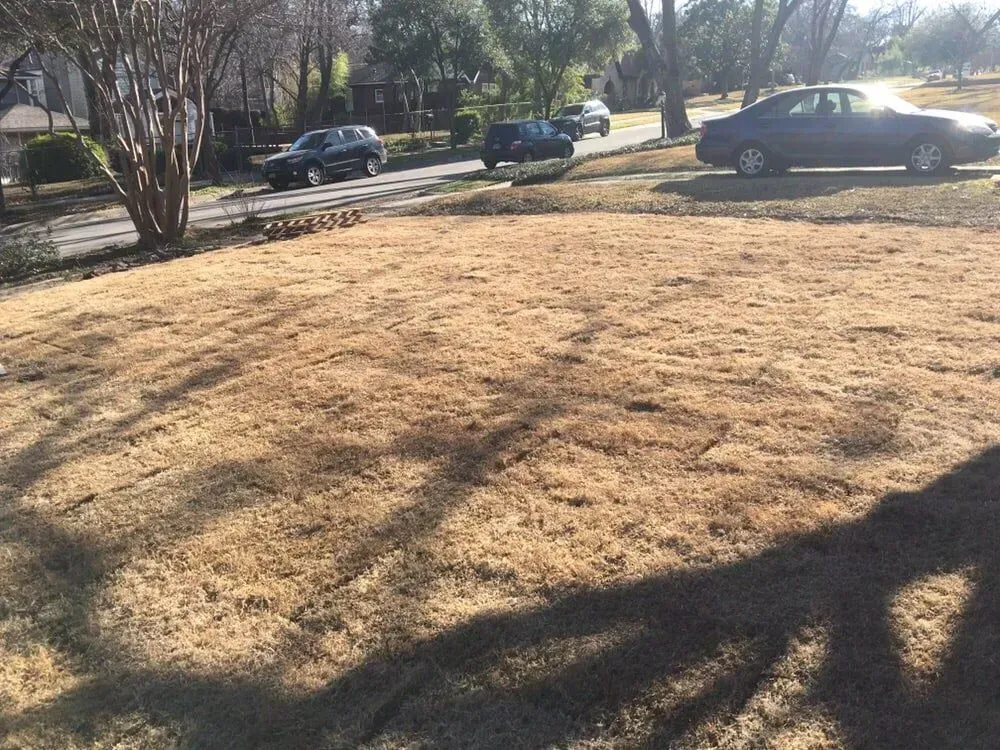 Texas Pride Landscape & Irrigation Gallery Image