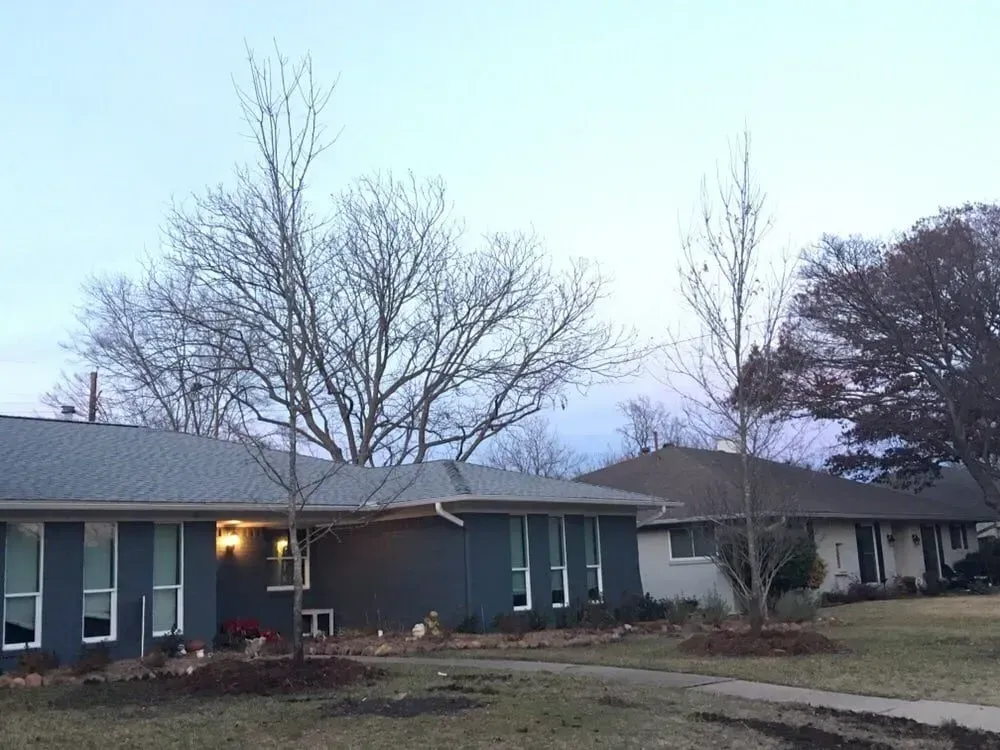 Texas Pride Landscape & Irrigation Gallery Image