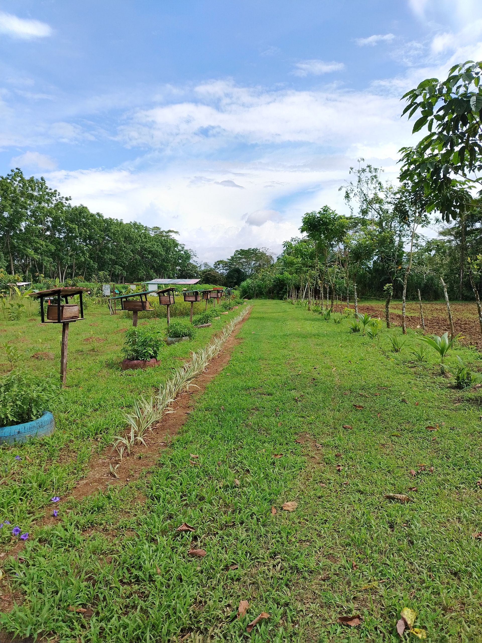 arenal bee garden, la fortuna
