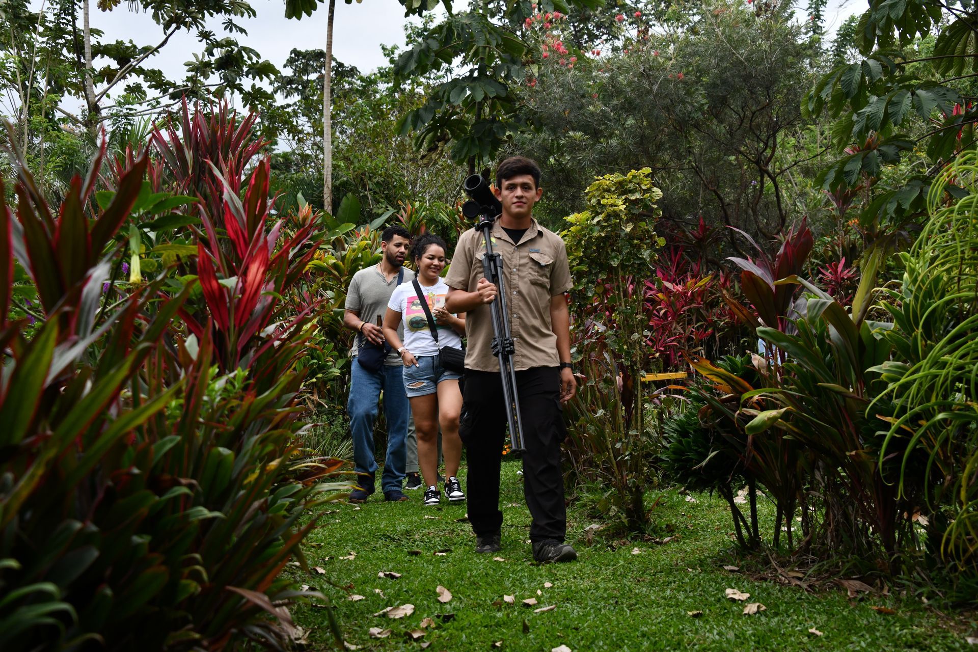 arenal bee garden, chocolate honey and coffee tour