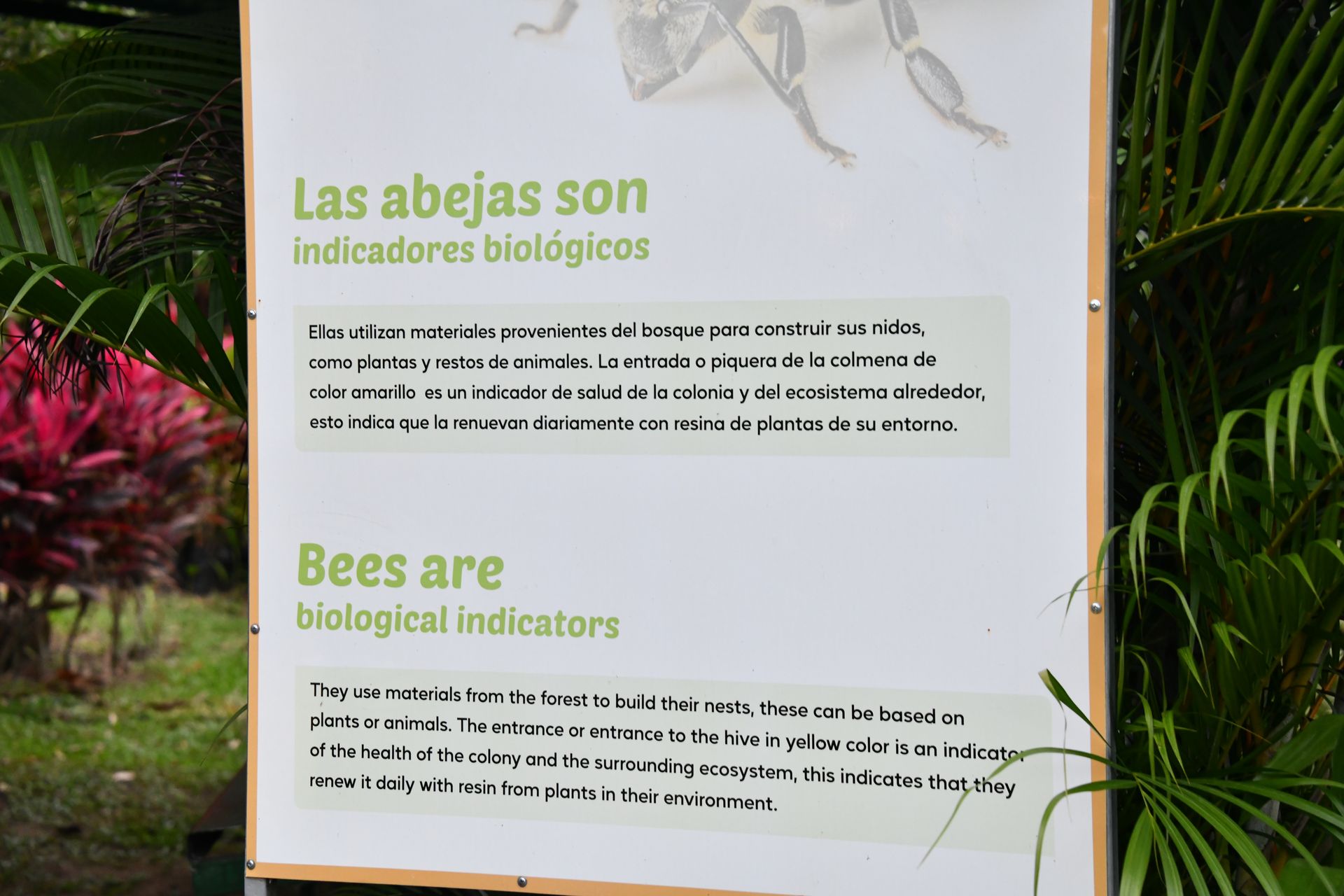 arenal bee garden
