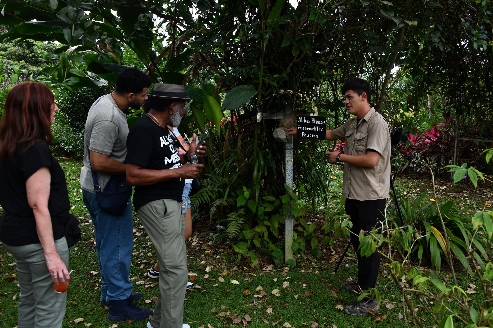chocolate honey and coffee tour