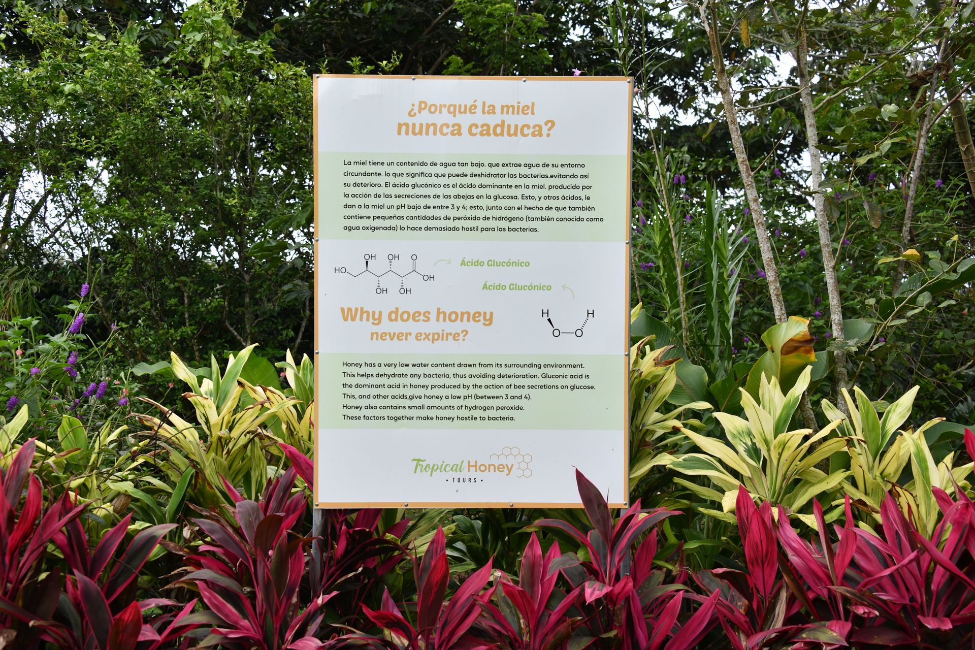 why does honey never expire?